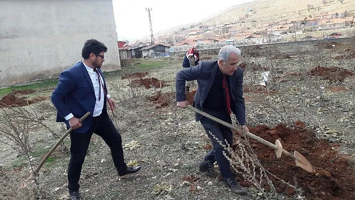 Doğanşehir'de yılın ilk cevizleri toprakla buluştu
