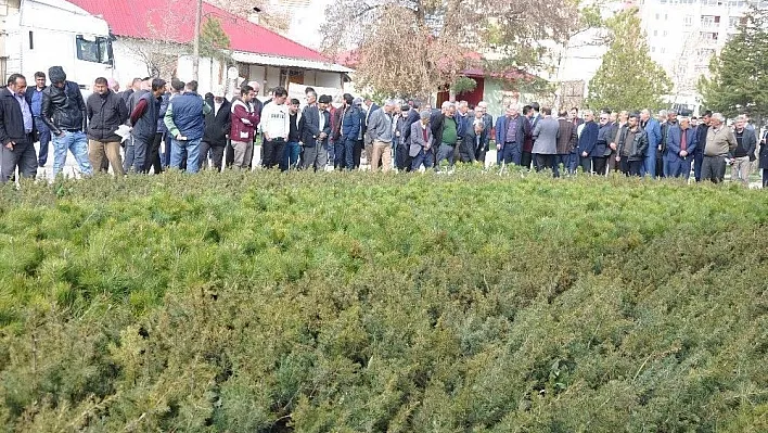Afşin'de 83 bin çam fidanı dağıtıldı
