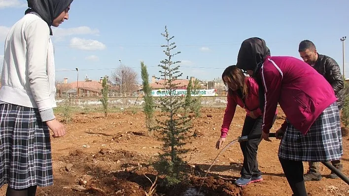 Bingöl'de fidan dikme etkinliği
