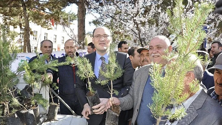 Suşehri'nde çam fidanı dağıtıldı
