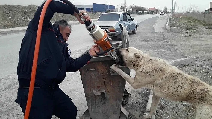 Çöp kutusuna ayağı sıkışan köpeği itfaiye kurtardı
