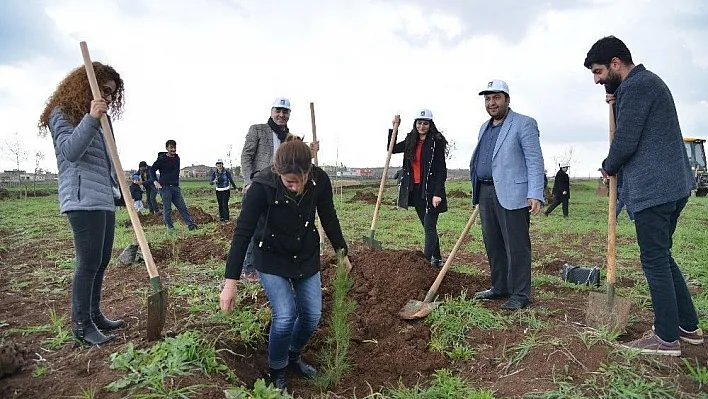 DSMMMO üyeleri Kent Ormanı'na fidan dikti
