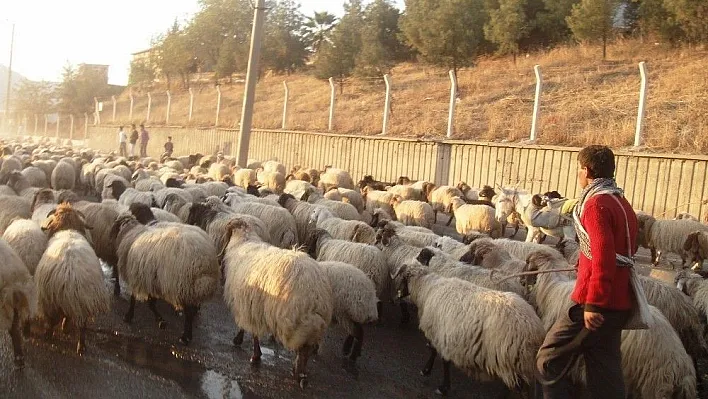 Genç çiftçi hibe başvuruları başladı
