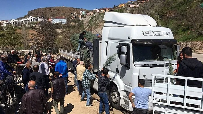 Öğrencilerin yetiştirdiği fidanlar Tunceli'de dağıtıldı
