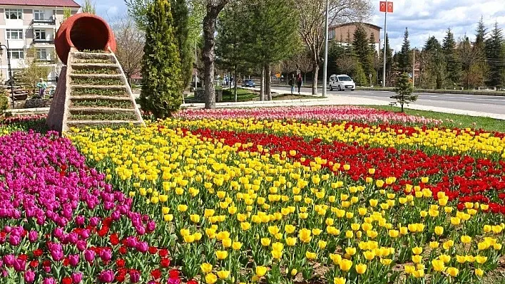 Elazığ'da ilkbahar güzelliği