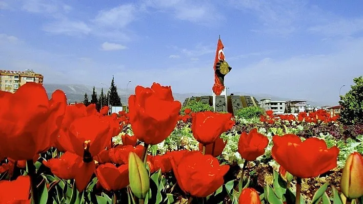 Kahramanmaraş çiçek açtı
