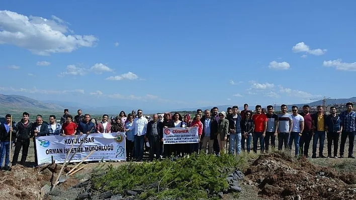 Suşehri'nde üniversite öğrencileri fidan dikti
