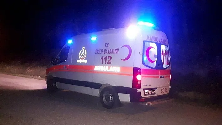 Ormanda yürüyüş yapan genç hastanelik oldu
