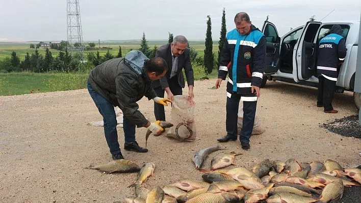 Jandarma ekipleri av yasağına uymayanlara göz açtırmıyor
