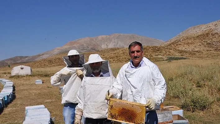 Sincikli arıcılar destek bekliyor
