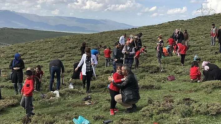 Şehit Üsteğmen İsmail Aksu İlkokulu'ndan ağaç dikim etkinliği
