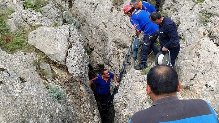 Kayalıkların arasına sıkışan atı AFAD ekipleri kurtardı
