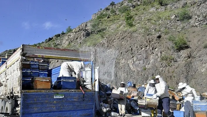 Binlerce arı sürücülere zor anlar yaşattı
