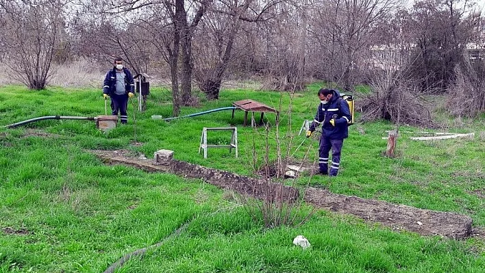 İlaçlama çalışmaları devam ediyor
