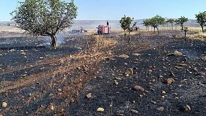 25 dönüm buğday tarlası kül oldu
