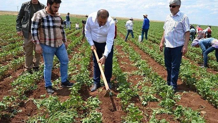 Atik: '25 Haziran'da aydınlık bir Türkiye'ye uyanacağız'
