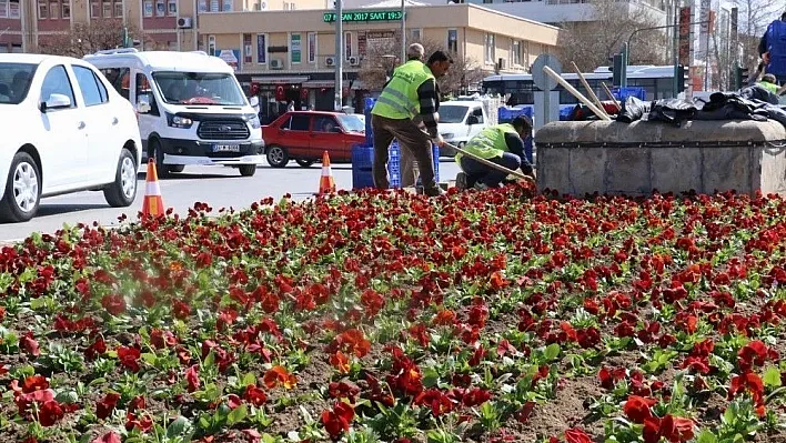 Erzincan'da binlerce çiçek toprakla buluşturuluyor
