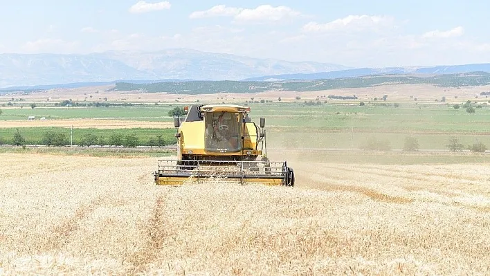 Kahramanmaraş'ta hububat hasadı başladı
