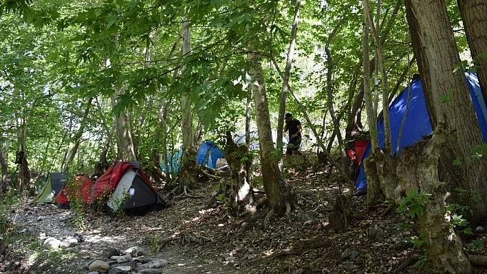 Fotokamp renkli görüntülerle başladı
