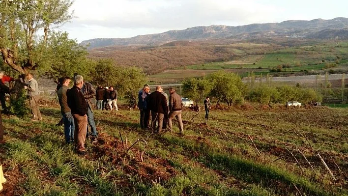 Cesetleri bulunan kişilerin ölüm sebepleri ortaya çıktı
