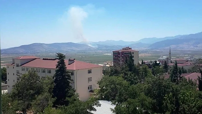 Kahramanmaraş'ta orman yangını
