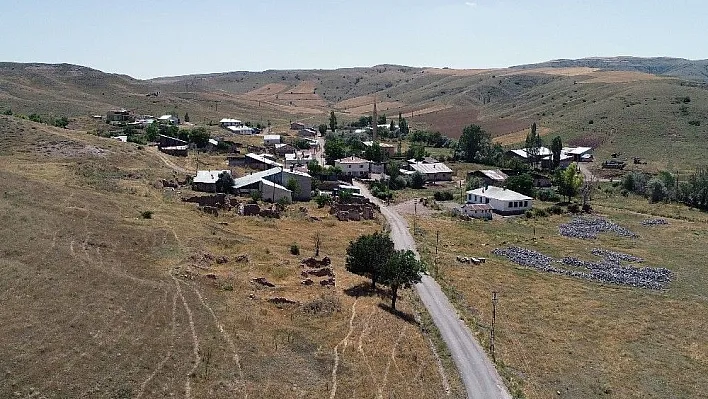 Hava kararınca ortaya çıkıyorlar, köylü panikte
