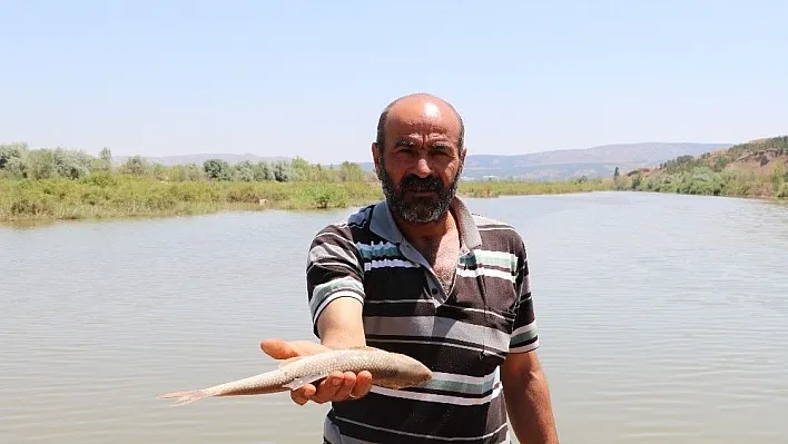 Toplu balık ölümlerini nedeni, oksijen azlığı
