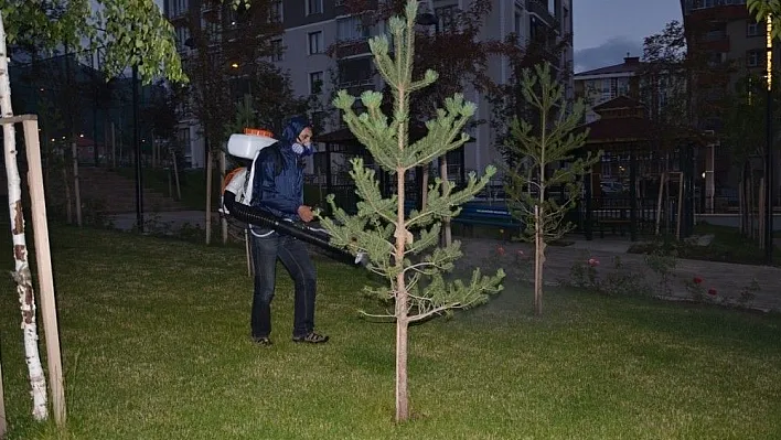 Palandöken Belediyesi park ilaçlama çalışmalarına başladı
