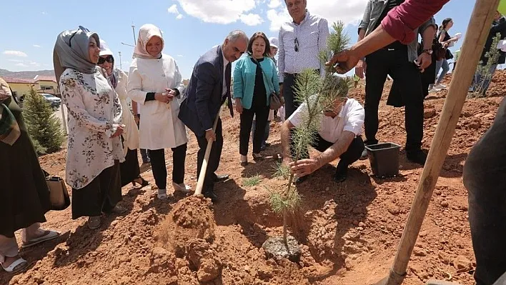 Çöp sahası yeşerecek
