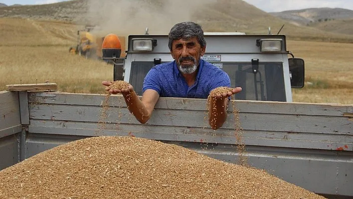 Biçerdöverler tarlaya girdi, hasat yüzleri güldürdü
