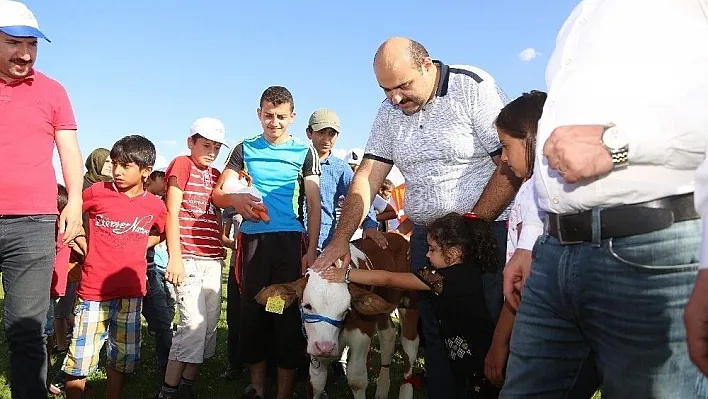 3. Geleneksel Çermik Festivalinde Erzurum'un en güzel buzağıları yarıştı
