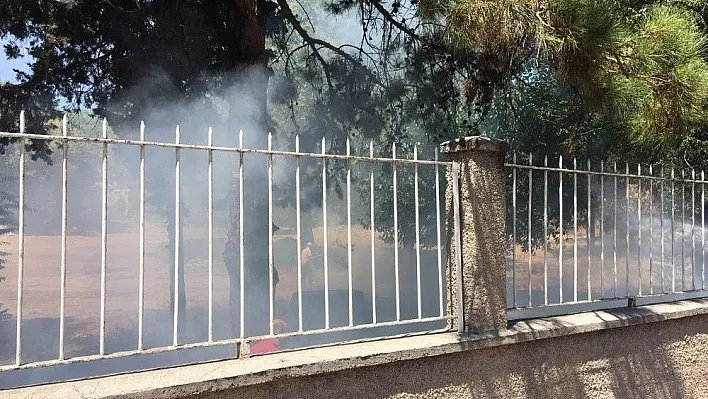 Jandarmanın dikkati sayesinde onlarca ağaç son anda kurtarıldı
