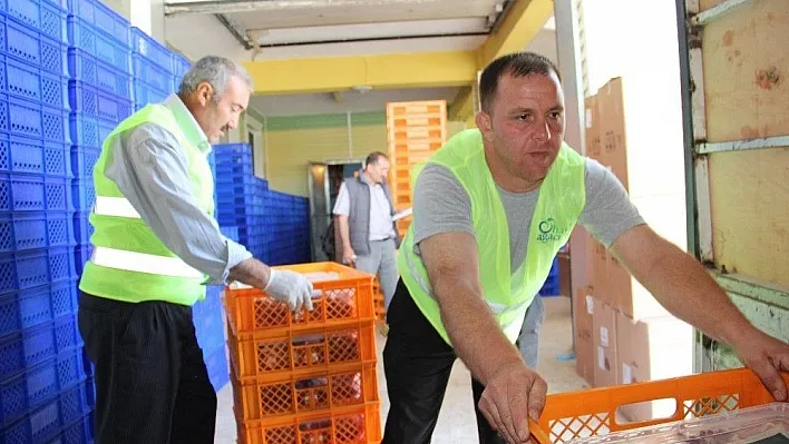 Hayat Ağacı Derneği kurban bağış süresini uzattı
