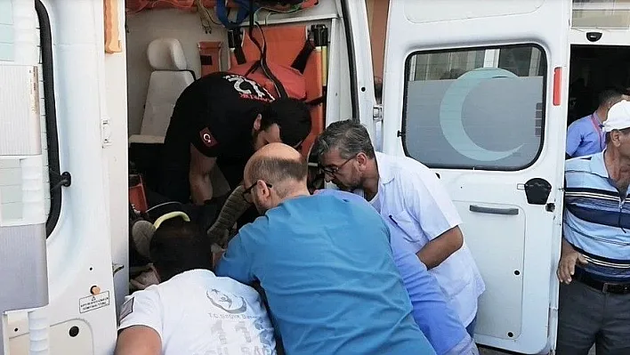 Erzincan'da ambulans sedyesi sıkışınca arbede yaşandı
