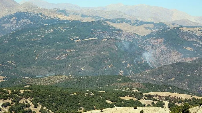 Tunceli'de ormanlık alandaki örtü altı yangını
