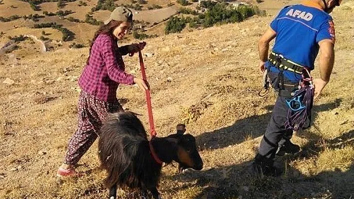 Uçurumda 4 gün mahsur kalan keçi kurtarıldı