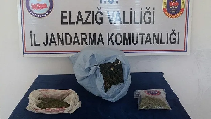 Jandarma uyuşturucu tacirlerine göz açtırmıyor