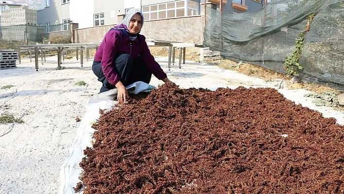 Kahramanmaraş'ta kadın girişimciler için program
