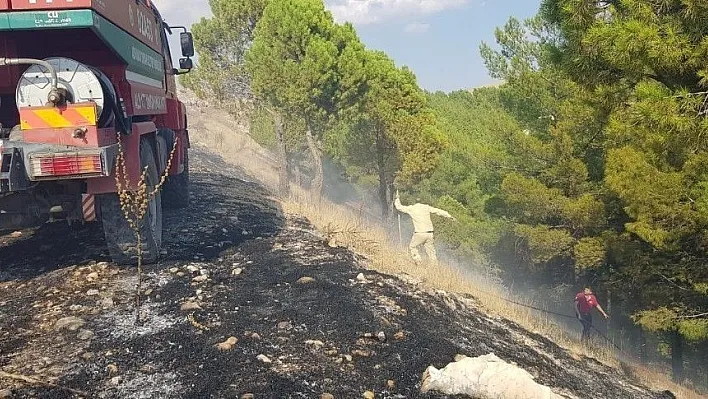 Ormanlık alanda yangın
