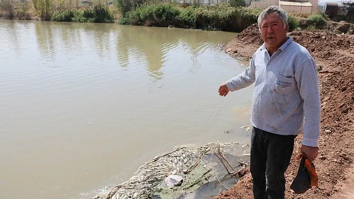 Kızılırmak'taki balık ölümleriyle ilgili inceleme başlatıldı
