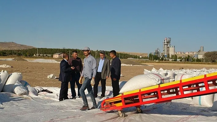 Tarım ve Orman İl Müdürü Yıldız Ayçiçeği hasadına katıldı
