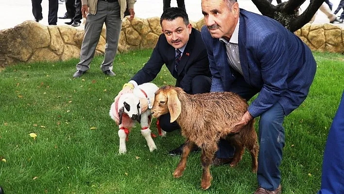 Tarım ve Orman Bakanı Pakdemirli Malatya'da

