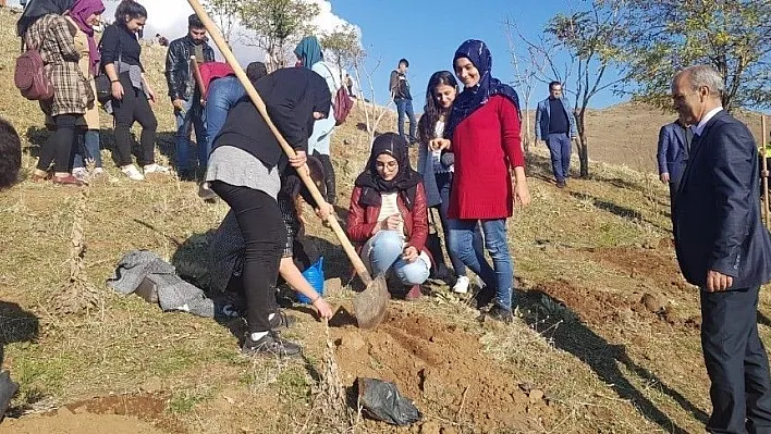 Solhan'da öğrenciler fidan dikti
