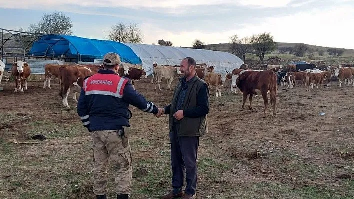 Jandarma, kayıp hayvanları 'Drone' ile buldu