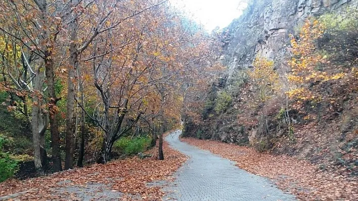 Kahramanmaraş'ta kartpostallık sonbahar
