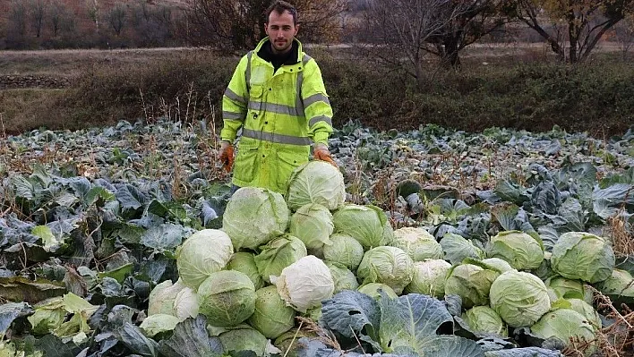 Üç yıldır fiyatları hiç artmadı
