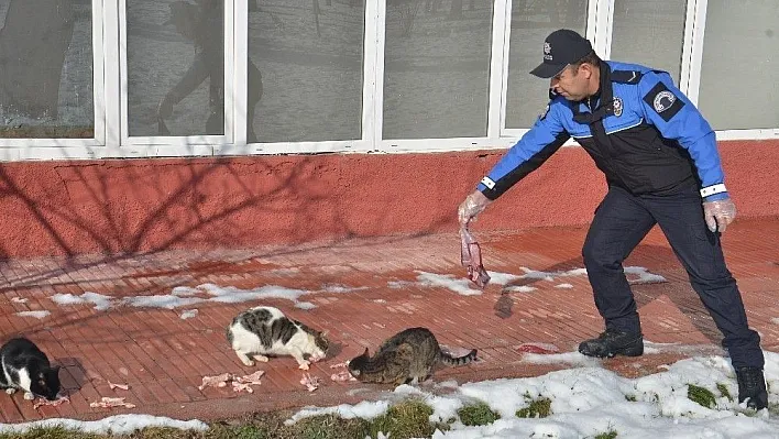 Polis ve öğrenciler, sokak hayvanları için doğaya yem bıraktı
