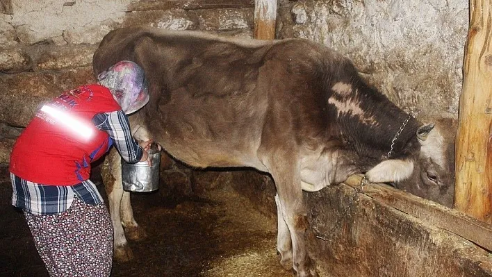 Şehirli gençler köy hayatı deneyimi yaşadı
