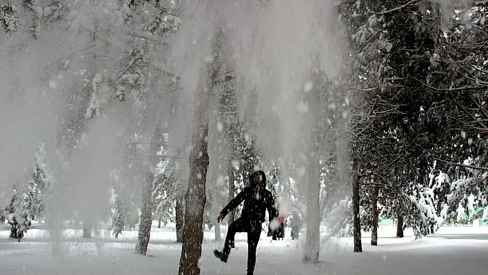 Erzurum'da kar yağışı, buzlanma ve tipi etkili oluyor
