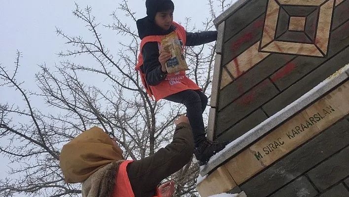 Bingöl'de hayvanlar için, doğaya yiyecek bırakıldı